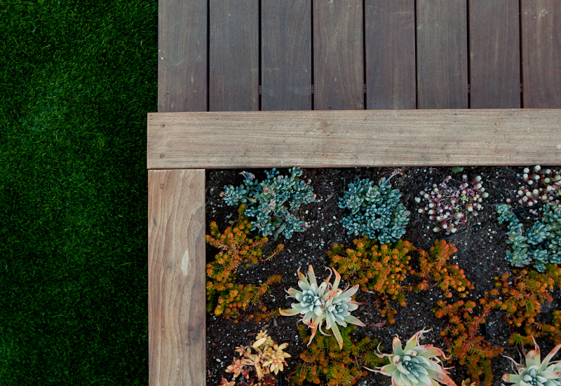 "caliofrnia landscape", "california garden", "los angeles garden", "place landscape", place design", "victoria pakshong", "sustainable garden", "california native garden", "drought tolerant garden", "rooftop garden", "rooftop deck", "succulents", "succulent garden"