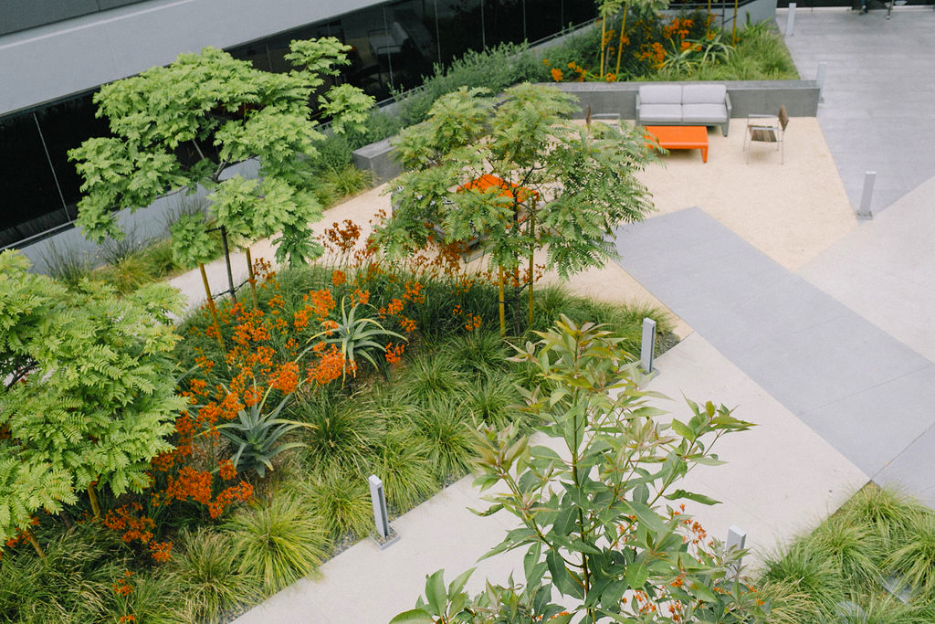 [place] Los Angeles Landscape and Architecture Design Studio